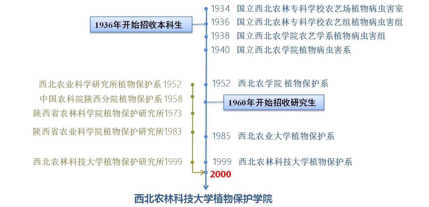 历史沿革更新.jpg